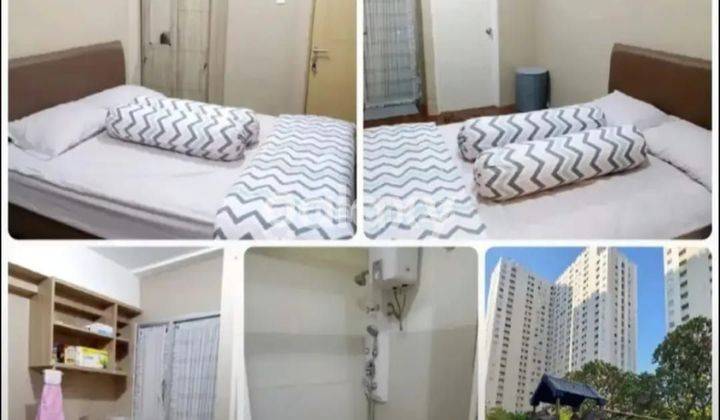 Jual Cepat Apartment Educity 1