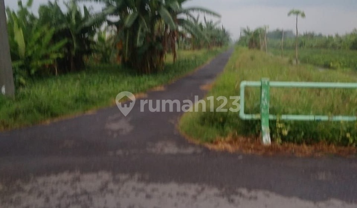 DIJUAL MURAH Tanah padat siap bangun Ngingas- Prambon- Sidoarjo