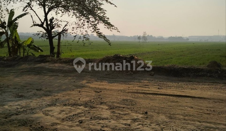 Dijual Murah tanah wringinanom gresik