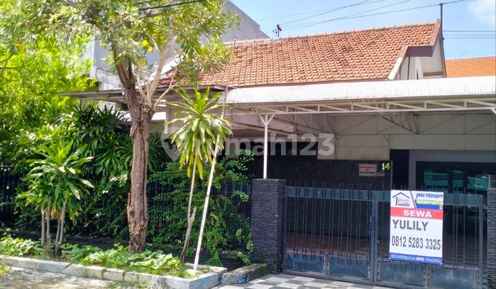 DiJual Murah Rumah 1 lantai Jemur Andayani - Siwalankerto Surabaya DiJual Murah Rumah 1 lantai Jemur Andayani - Siwalankerto Surabaya