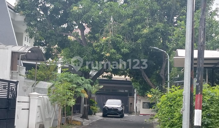 Commercial Space for Rent at Darmo Permai Selatan Hr Muhammad Commercial Space for Rent at Darmo Permai Selatan Hr Muhammad