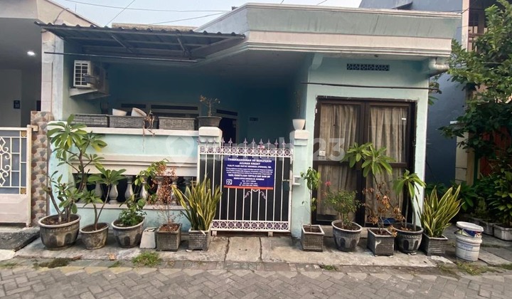 Rumah Bagus murah 1 lantai SHM Karangpilang, Surabaya Rumah Bagus murah 1 lantai SHM Karangpilang, Surabaya