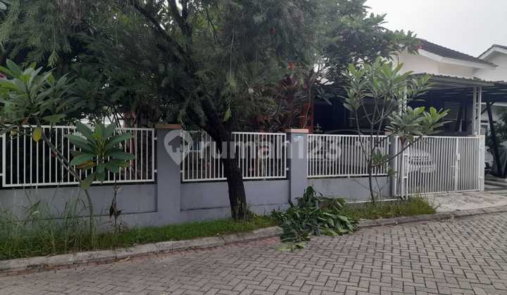 Di Jual Rumah Hook 1 Lantai Perumahan Citra Indah City Cluster Bukit Bougenvile di Jonggol Bogor Jawa Barat