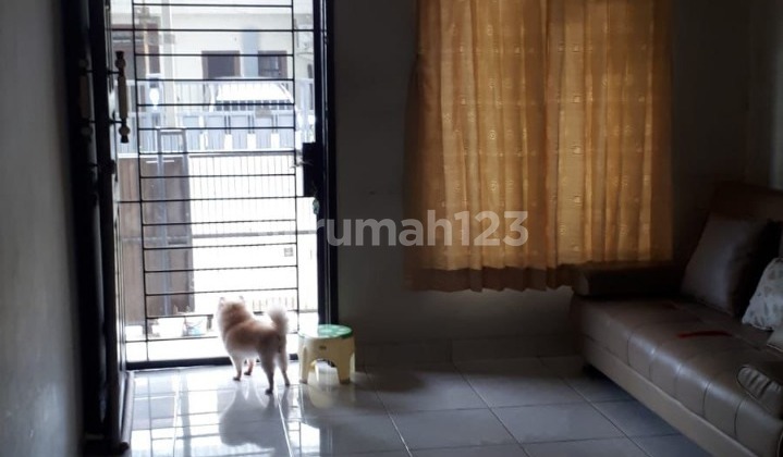 Dijual Rumah 2 Lantai Daerah Kelapa Lilin, Kelapa Gading - Jakarta Utara Dijual Rumah 2 Lantai Daerah Kelapa Lilin, Kelapa Gading - Jakarta Utara