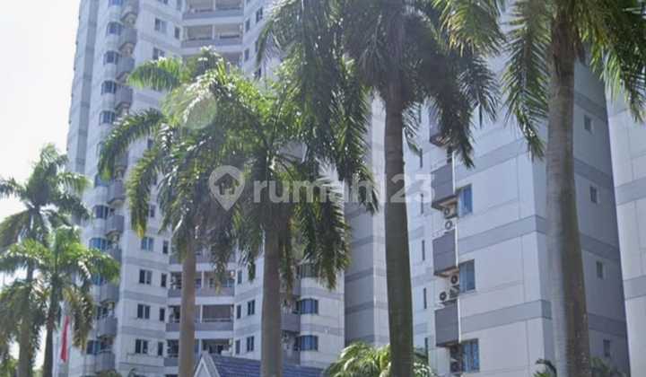 Di Jual Apartemen Wesling Kedoya Siap Huni Lantai Rendah di Kedoya Jakarta Barat Di Jual Apartemen Wesling Kedoya Siap Huni Lantai Rendah di Kedoya Jakarta Barat