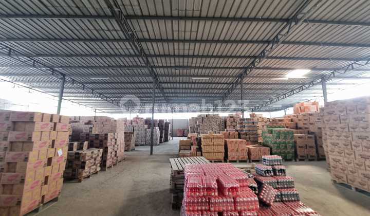 Disewakan Gudang Ada Kantor Siap Pakai Dijalan Kemuning Raya Cengkareng - Jakarta Barat