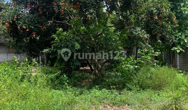 Dijual Tanah Murah Ngaglik Area Jakal Km6 Dekat Al Azhar,ugm,uny,pakuwon Mall,ringroad Utara