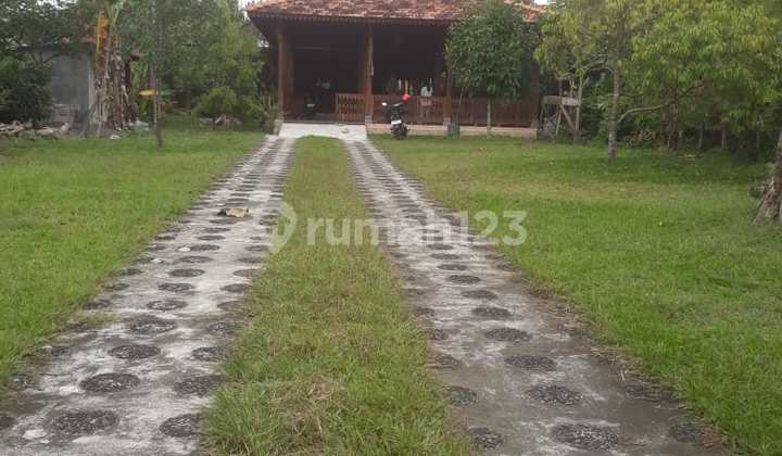 For Rent: Spacious, Affordable Joglo House/Business Space in Pakem, North Sleman, Palagan.