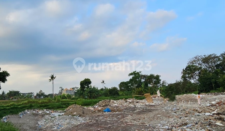 For Rent: Large & Cheap Land in Ngaglik Sleman Area, Palagan