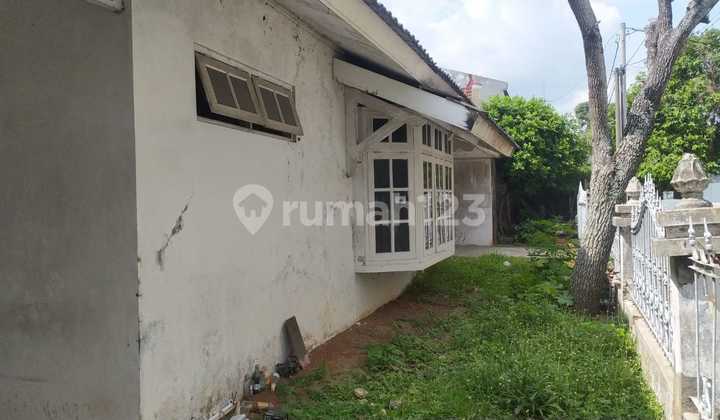 Disewakan Rumah Besar Murah Mlati Sleman Area Pogung 2