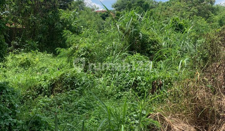 For Rent: Strategically Located Large Land in Ngaglik, Sleman, Palagan Area.