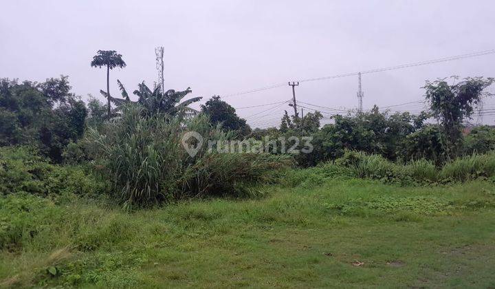 3 Kavling Tanah Tegal Padang Akses Tol Serang Barat 2