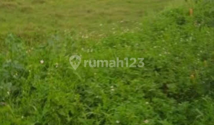 Jual Cepat Saja Tanah di Daan Mogot Lokasi Strategis Jakbar