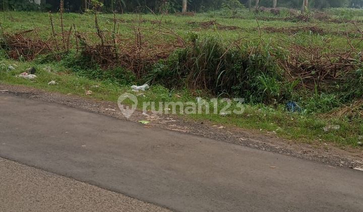Di Jual Lahan Bagus dan Aman di Desa Tegal Kemang Bogor