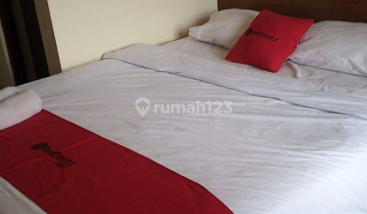 Penginapan RedDoorz Pakel 14 kamar Bagus dan profitable 2