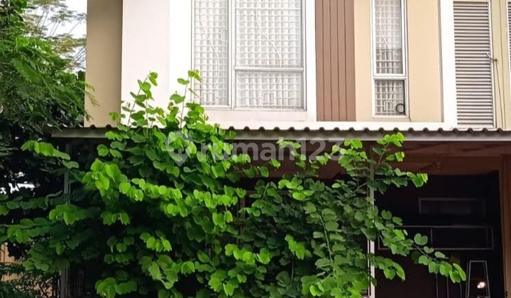 Rumah 2 Lantai Incld Kitchenset Malibu Village, Selangkah Dari Aniva Grande Gading Serpong