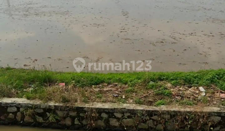 Di Jual Tanah Sawah Di Tambelang Bekasi Di Jual Tanah Sawah Di Tambelang Bekasi