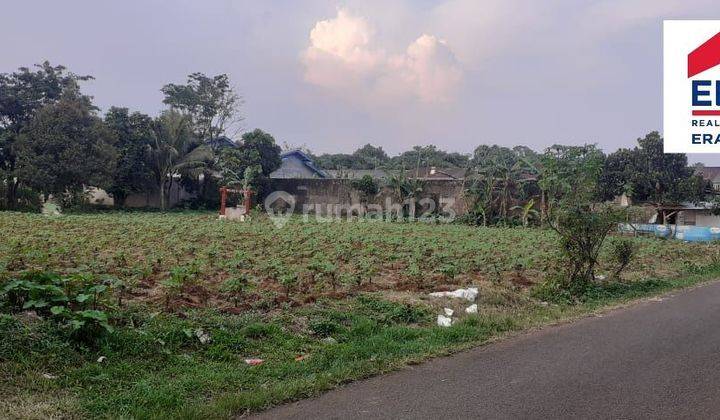 Tanah luas pinggir jalan aktif di Bogor ..cocok untuk Tempat usaha . Tanah 2910 m² 1