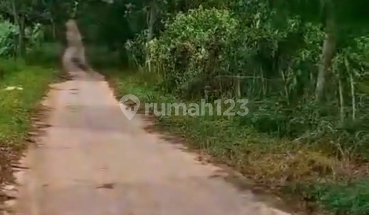 Lahan Luas 23000 Jual Murah Di Jonggol Bogor Lahan Luas 23000 Jual Murah Di Jonggol Bogor