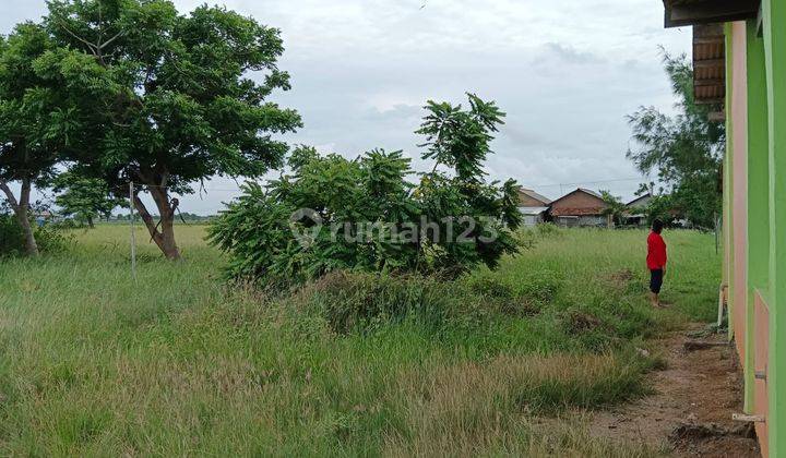 Jual Cepat Tambak Sawah Bonus Rumah 3,5ha Di Karawang 2