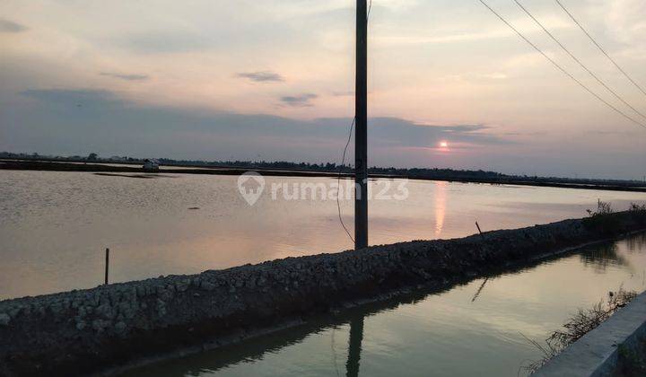 Dijual Cepat Tanah Tambak Di Karawang 2