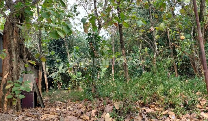 Lahan Siap Bangun Dekat Grand Wisata Bekasi Lahan Siap Bangun Dekat Grand Wisata Bekasi