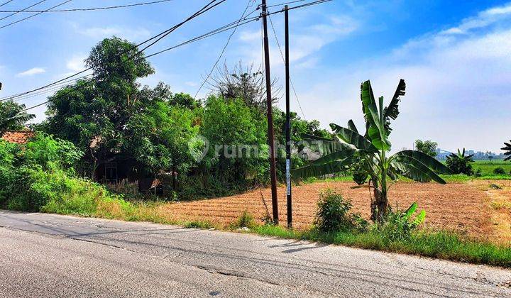 Tanah Kavling Cocok Untuk Usaha di Pinggir Jalan Raya Babelan Bekasi 2