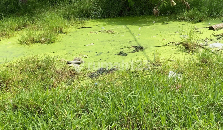 Tanah Rata Cocok Untuk Bangun Rumah, Kost2 An Dan Cluster Di Desa Babelan Kota
