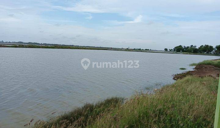 Jual Cepat Tambak Sawah Bonus Rumah 3,5ha Di Karawang 2