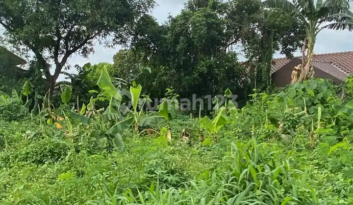 Di Jual Cepat Tanah Di Pinggir Jalan Dekat Pakuwon Mall