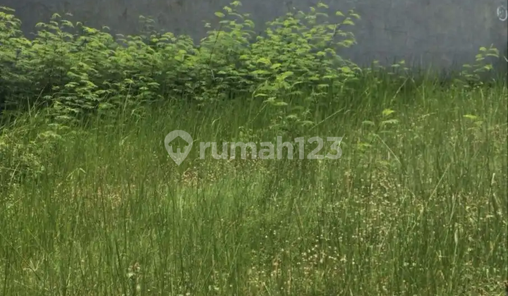 Tanah Dekat Pintu Tol Jatiasih Di Bekasi Tanah Dekat Pintu Tol Jatiasih Di Bekasi