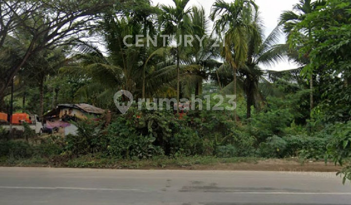 Spacious, Commercial, and Strategic Land in Samarinda City