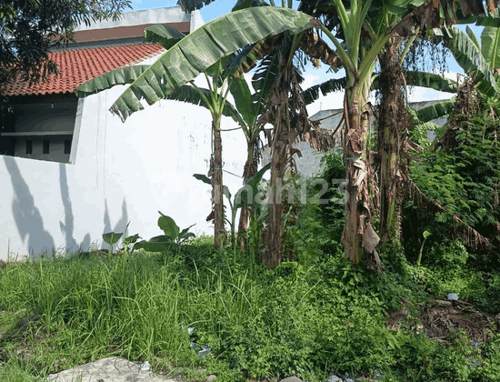 Tanah Letak Strategis Area Pemukiman di Tegal Tanah Letak Strategis Area Pemukiman di Tegal