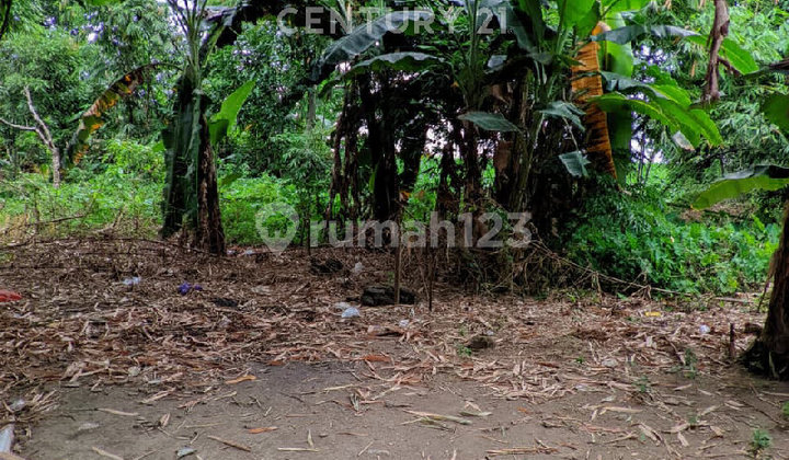 Tanah Lingkungan Nyaman dan Padat Penduduk Tanah Lingkungan Nyaman dan Padat Penduduk