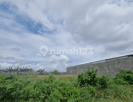 Tanah Akses Kendaraan Besar Sudah Urug di Tegal Tanah Akses Kendaraan Besar Sudah Urug di Tegal