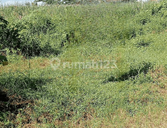 Strategic Location Land Plot in Brebes