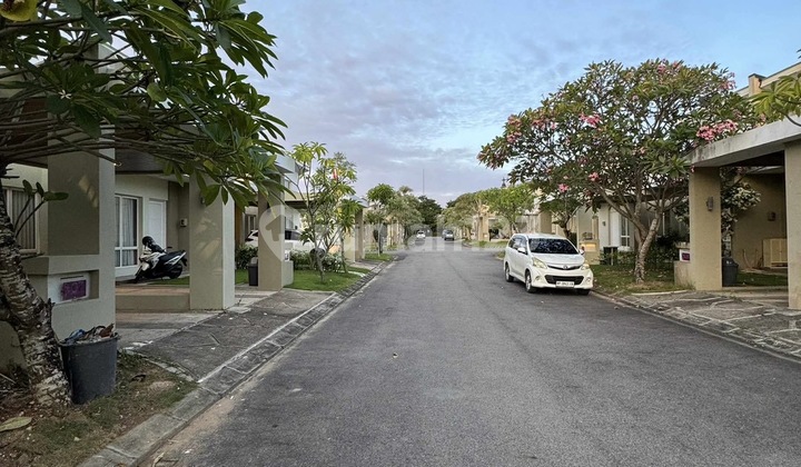 For Sale Ready-to-Occupy Fully Furnished House Orchard Park Vitis 2