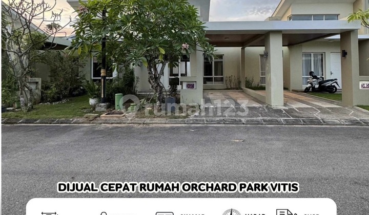 Dijual Rumah Siap Huni Full Furnish Orchard Park Vitis
