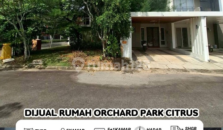 Dijual Cepat‼️rumah Orchard Park Citrus - Batam Center