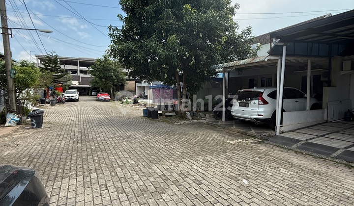 Golden Prima Hook House Quick Title