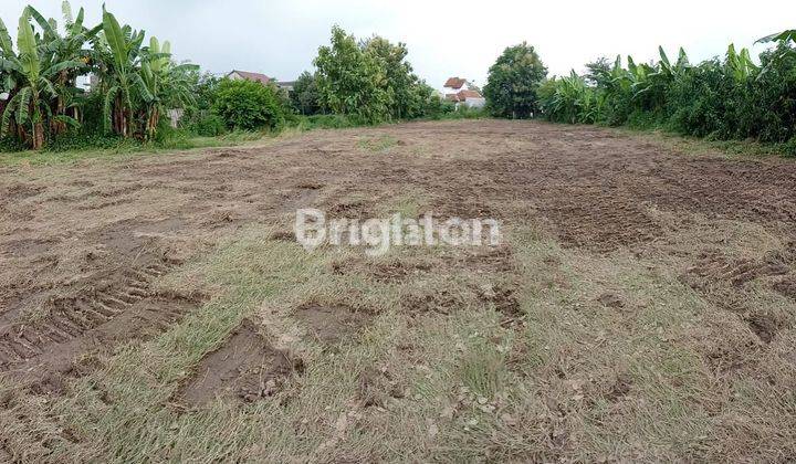 TANAH TENGAH KOTA SOLO DEKAT MASJID 1