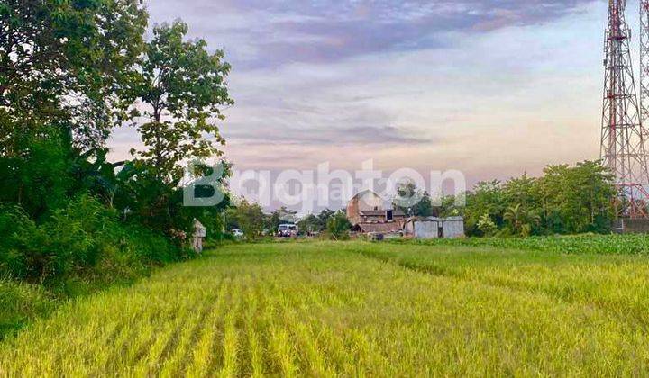 TANAH PEKARANGAN KERING DAN SAWAH MANGKU JALAN DI JL RAYA SOLO JOGJA 2