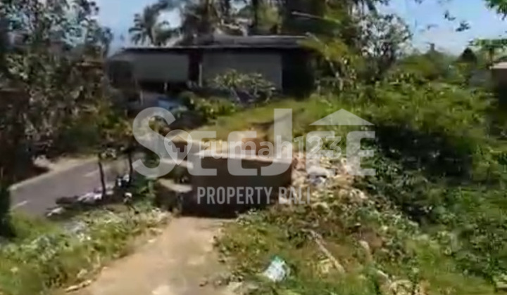 STRATEGIC OWNED LAND FOR SALE NEAR BERATAN TEMPLE AND JATILUWIH - SLFC018