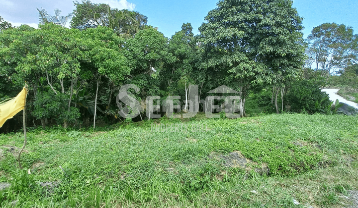 PRIME RIVERSIDE LAND IN KEDUNGU – IDEAL FOR TOURISM DEVELOPMENT – SLFC017 PRIME RIVERSIDE LAND IN KEDUNGU – IDEAL FOR TOURISM DEVELOPMENT – SLFC017