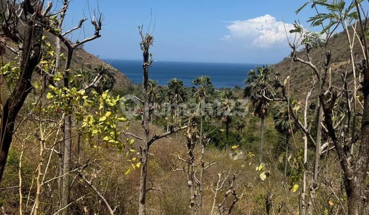 PELABUHAN IMPIAN ANDA – TANAH 321 ARE PENUH KEINDAHAN ALAM & DEKAT PANTAI – SLFX028