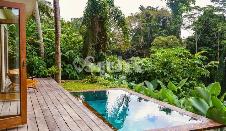 VILA TERSEMBUNYI DI MANA SPIRIT HUTAN BERSEMAYAM DAN SUNGAI BERBISIK — TERPESONA OLEH CANGGU YANG BELUM PERNAH ANDA LIHAT SEBELUMNYA – SVLC084