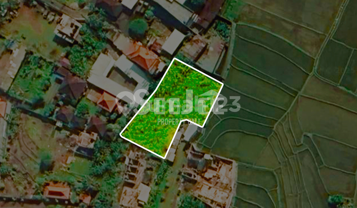 RARE 7 ARE LAND WITH STUNNING RICE FIELD VIEWS IN BUDUK – TRANQUILITY MEETS PRIME LOCATION – SLLC023