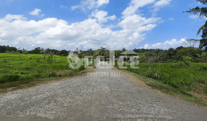 TANAH PRIMER DI TEPI SUNGAI KEDUNGU – IDEAL UNTUK PENGEMBANGAN PARIWISATA – SLFC017