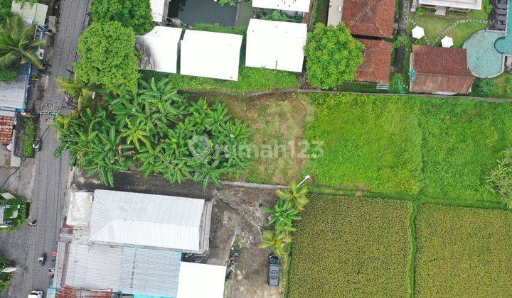 Freehold Land In The Heart Of Ubud S Tourist Hub  2