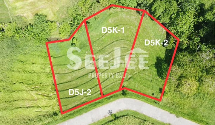 PRIME RIVERSIDE LAND IN KEDUNGU – IDEAL FOR TOURISM DEVELOPMENT – SLFC017 PRIME RIVERSIDE LAND IN KEDUNGU – IDEAL FOR TOURISM DEVELOPMENT – SLFC017